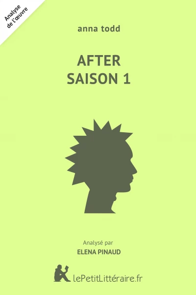 Analyse du livre :  After Saison 1